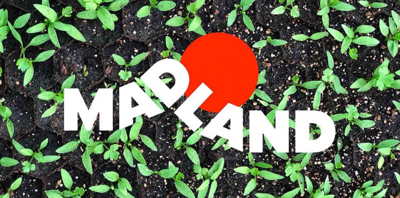 Madland: Ny madpolitisk festival åbner onsdag